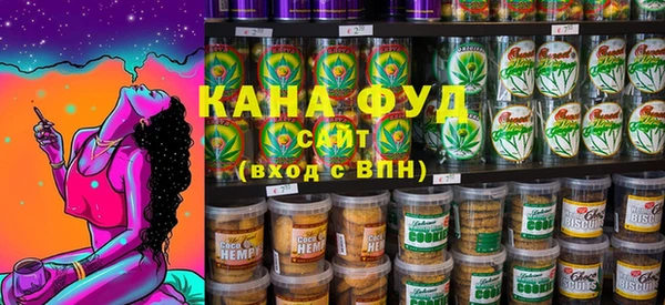 хмурый Тайга