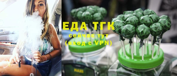 хмурый Тайга